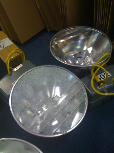 lights IMG_0129.jpg
